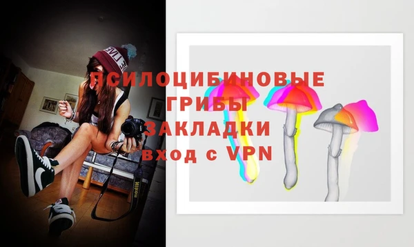 дмт Горно-Алтайск