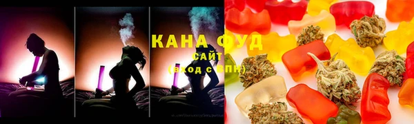 гидра Каменногорск