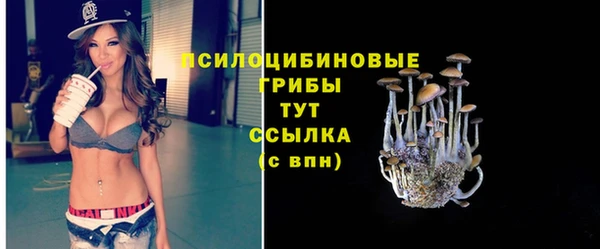прущий лед Горнозаводск