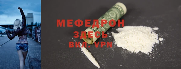 индика Инта