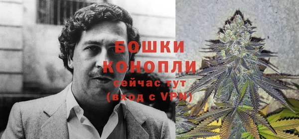 дмт Горно-Алтайск
