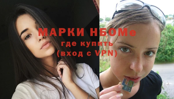 сатива Каменск-Шахтинский
