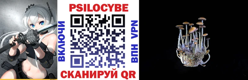 Псилоцибиновые грибы мицелий  Каменногорск 