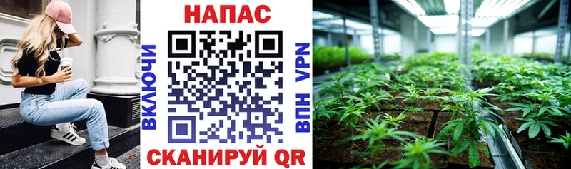 наркошоп  Каменногорск  нарко площадка телеграм  Бошки марихуана конопля 